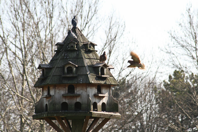 Das Taubenhaus in Oberlaa