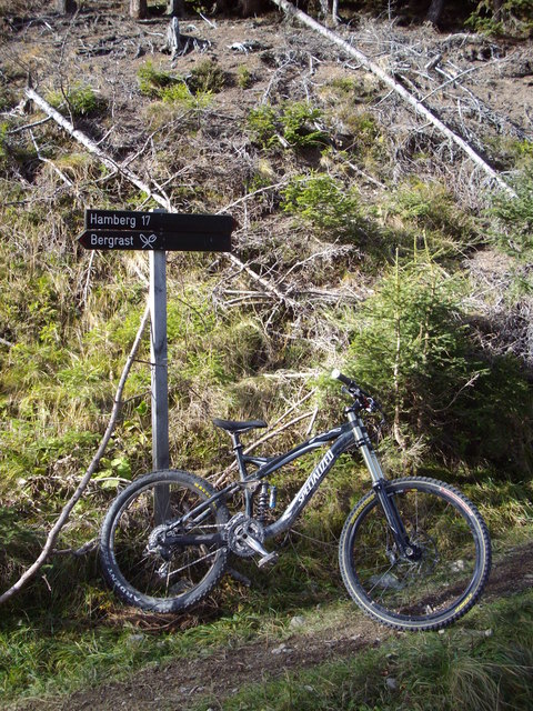 Hamberg Trail