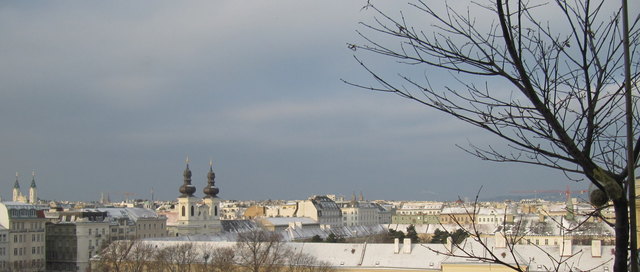 Über den Dächern von Wien