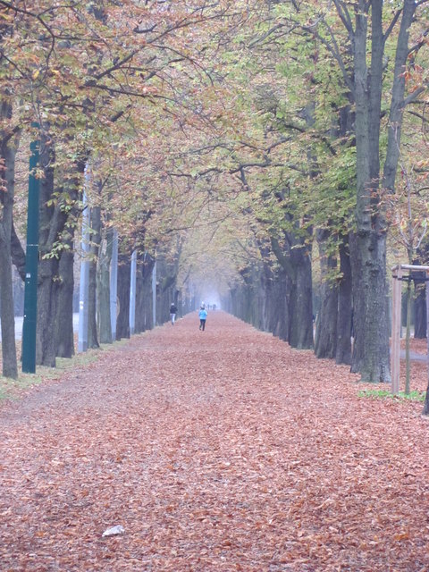 Der Prater im Herbstkleid