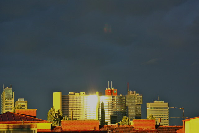 Wien ist international