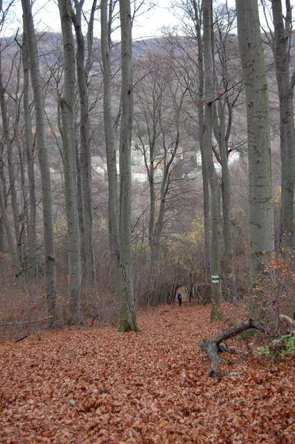 Herbststimmung im Wienerwald