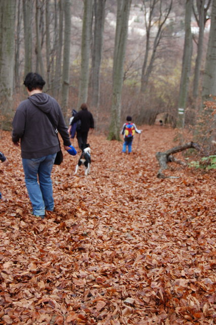 Herbstspaziergang im Wienerwald