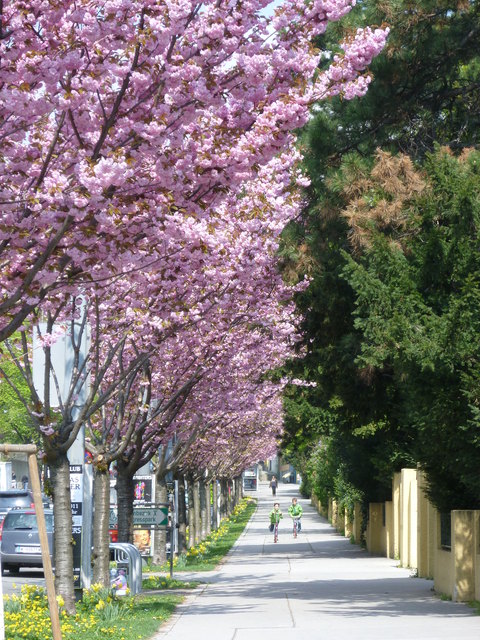 Beim Kongreßpark in Wien