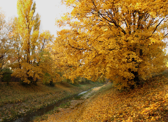 Der Herbst als Maler
