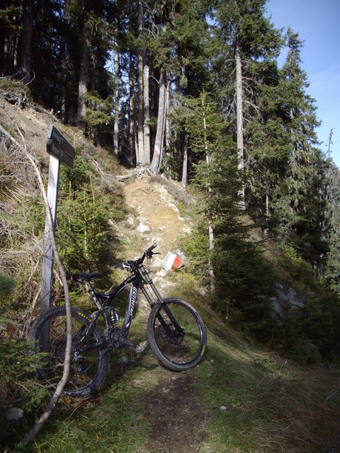 Trial vom Hamberg