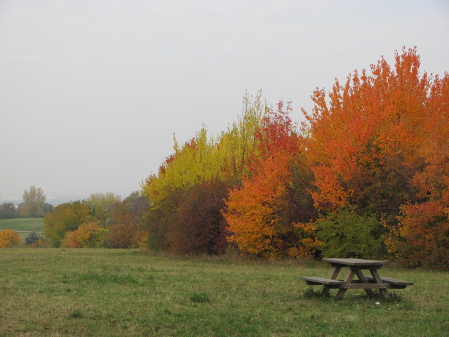 Das ist mein wien-der Wienerberg