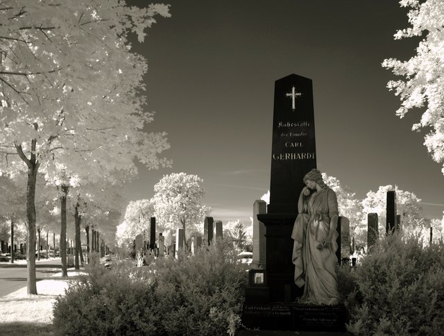 Auf dem Zentralfriedhof