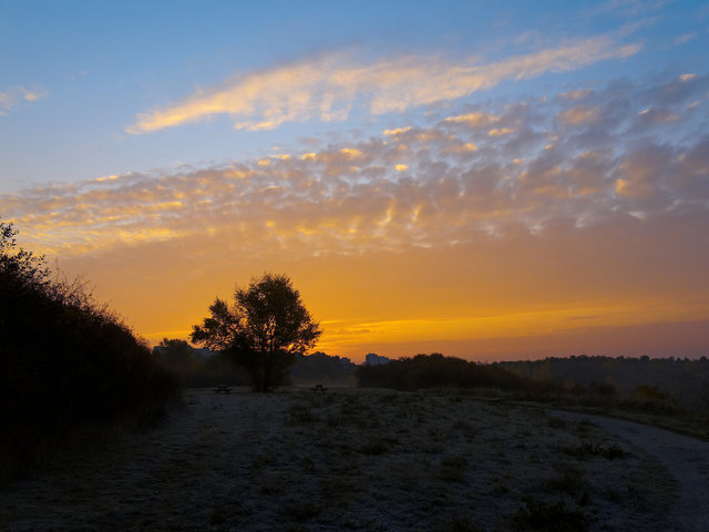 Morgenstimmung am Wienerberg