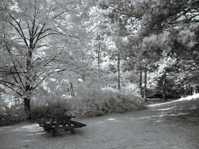 Märchenwald im Kurpark Oberlaa
