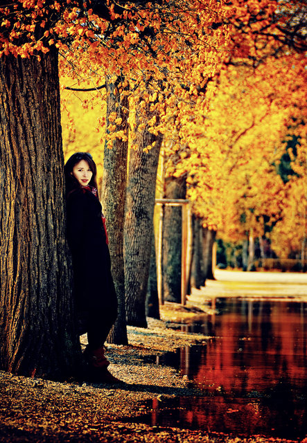 Schon wieder Herbst?