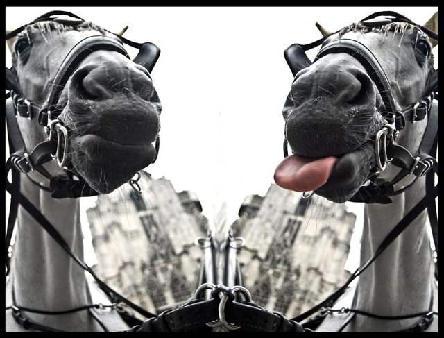 "Jeder Tag, an dem du nicht lächelst, ist ein verlorener Tag." - Charlie Chaplin