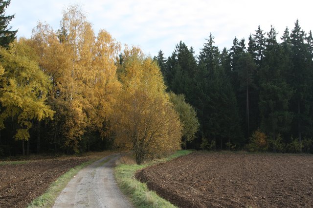 Herbstweg in Windigsteig