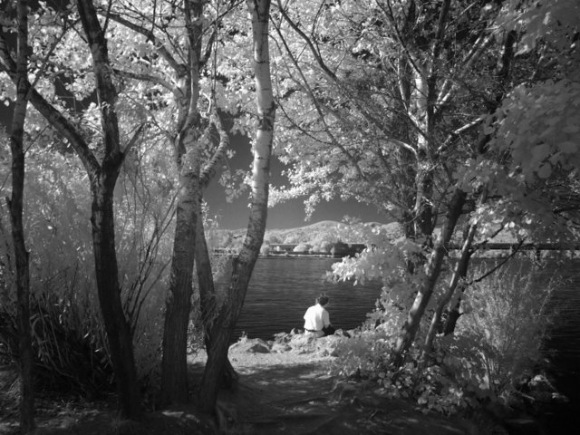 Romantik an der Donau in der Brigittenau