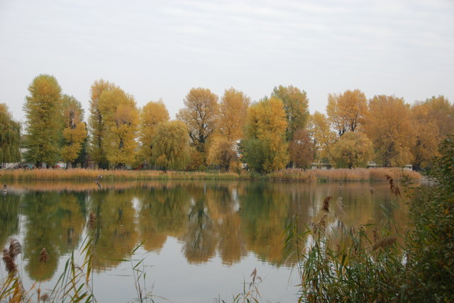 Herbst an der Alten Donau