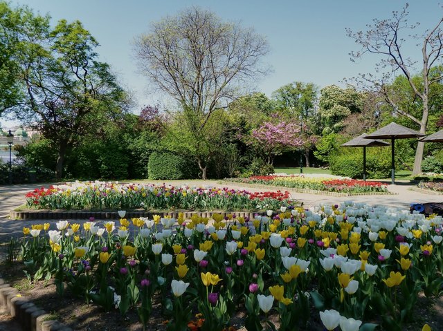 Frühling im Stadtpark