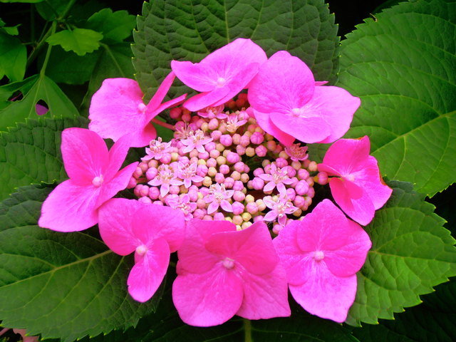 Wien ist farbenfroh!