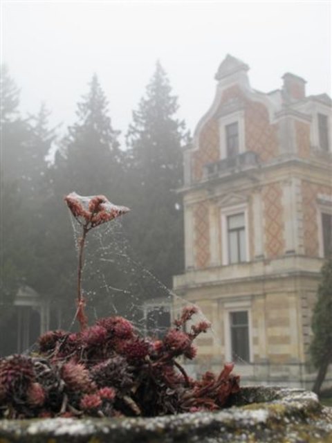 Auch ein trüber Nebeltag hat so seine schönen Seiten...