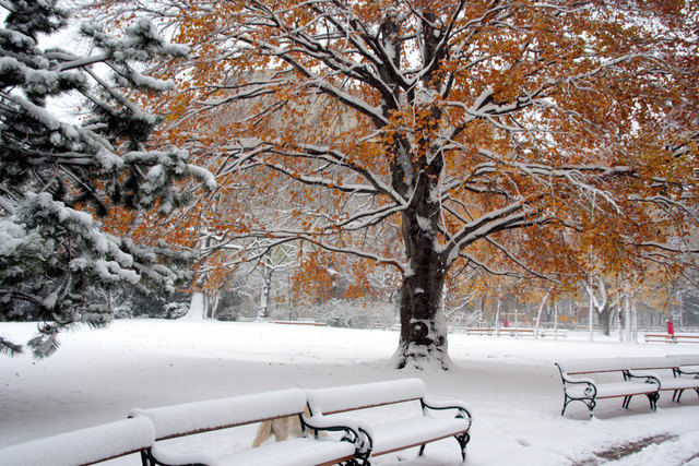 Winter im Arenberg Park, Wien 3.Bezirk