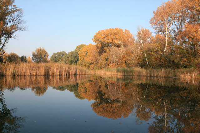 Die Lobau - auch im Herbst eine Oase der Ruhe