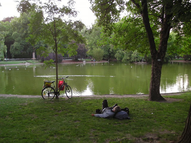 Mittagsschläfchen im stadtpark