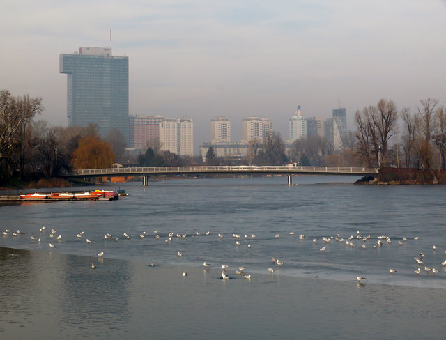 Alte Donau