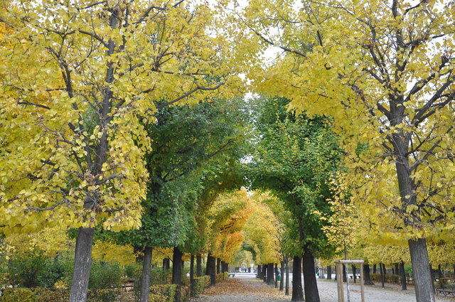 Schlosspark Schönbrunn