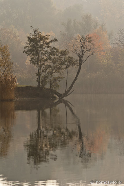 Herbstliche Morgenstimmung am Wienerberg