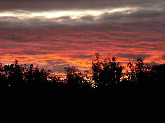 Sonnenuntergang über dem Zentralfriedhof