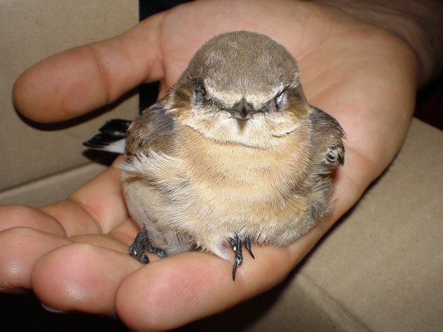 Verletzt und gefunden