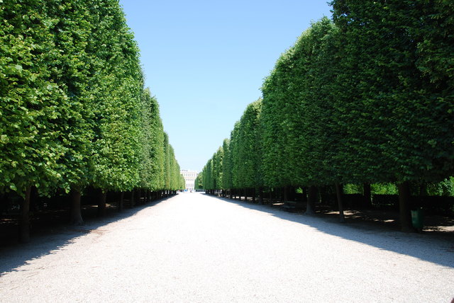 Allee in Schönbrunn