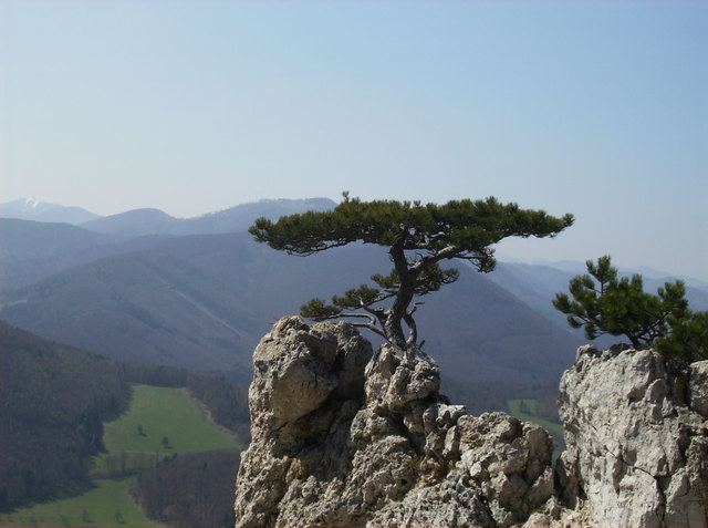 irgendwo im wienerwald