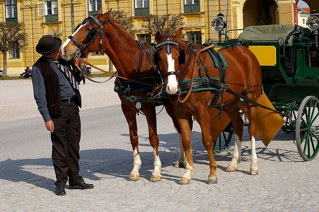Der Pferdeküsser von Wien
