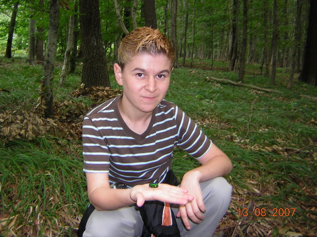 skarabäus im wienerwald