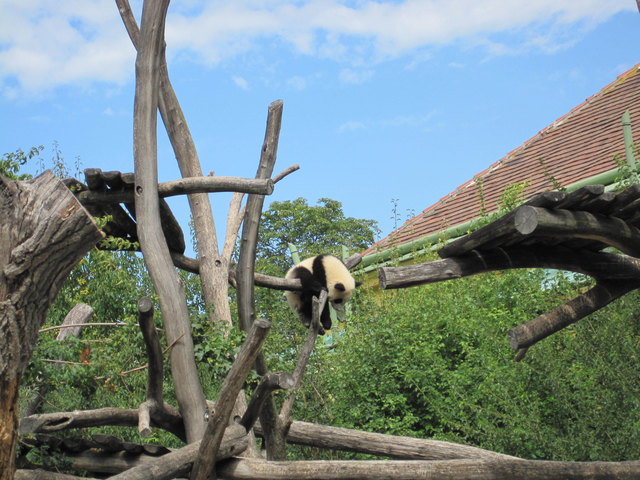 ich häng dann einfach mal rum
