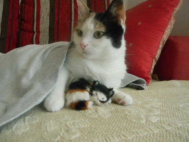 missy und minnimissy