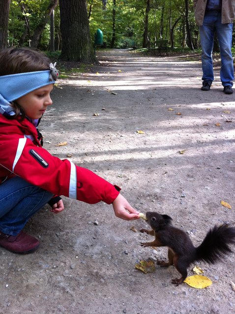 Schönbrunner Herbst