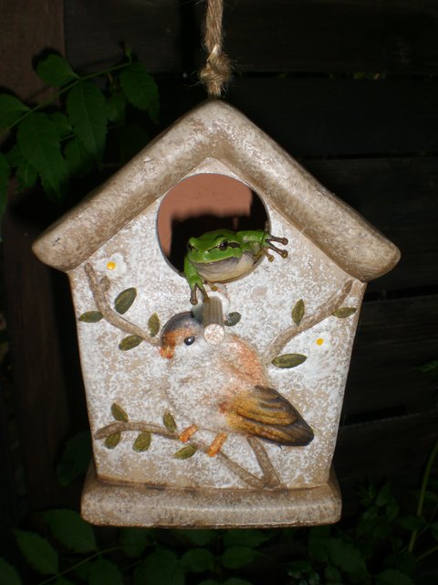 Hausbesetzung der anderen Art