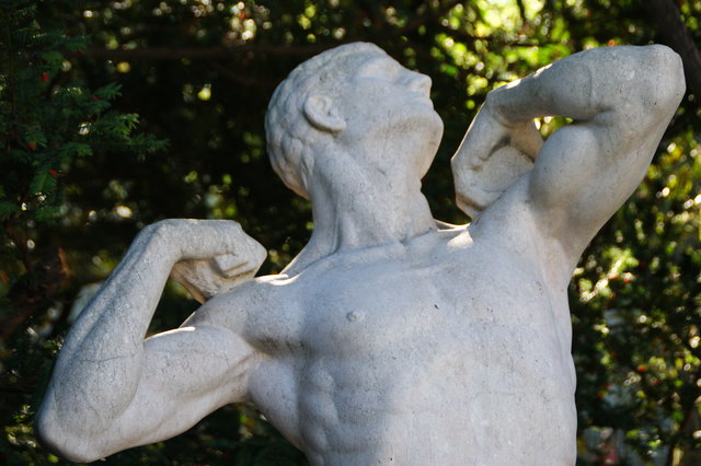 Athlet Rathauspark Mauer