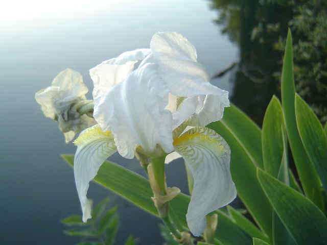 Mein schönstes Wien WIG Abendstimmung