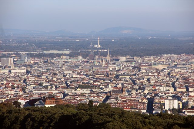 Wienerwaldblick