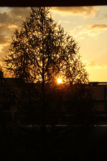 Sonnenaufgang in Liesing