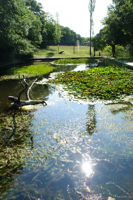 Pappelteich in Mauer