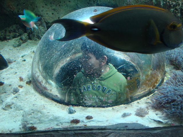 Dieses Foto zeigt wie vielfältig Wien ist :)