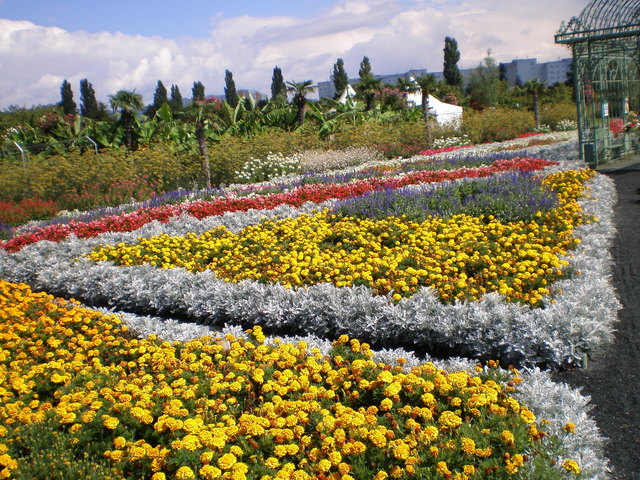 Blumengarten in Hirschstetten