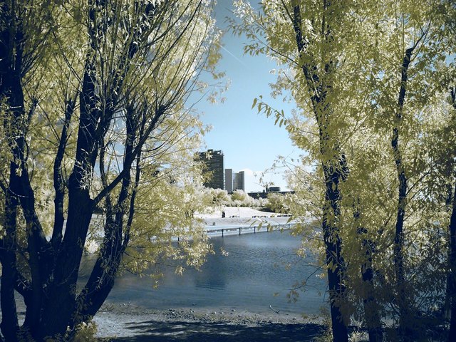 Urlaubsstimmung auf der Donauinsel