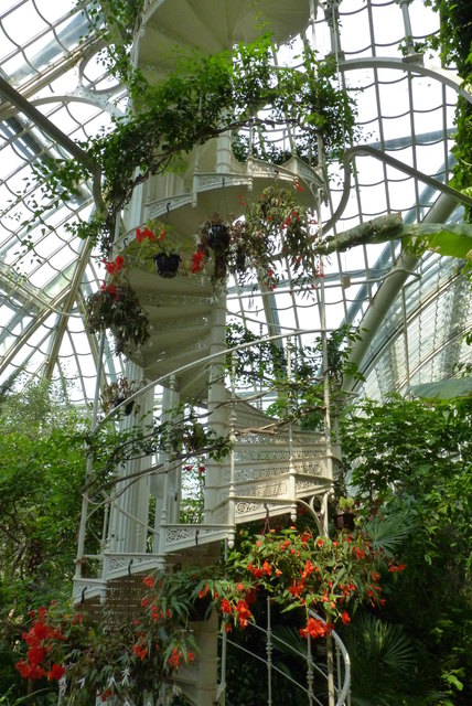 Die Wendeltreppe im Palmenhaus