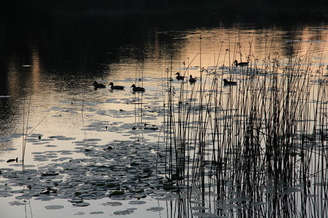Familienausflug in der Morgendämmerung