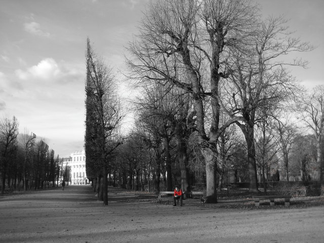 Herbst in Schönbrunn