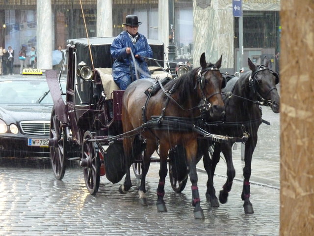 Fiaker bei Gewitter in Wien